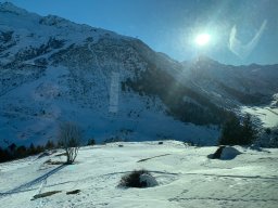 4deddd1c-e87d-4e21-8288-16aa72fea153